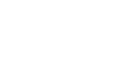 n29